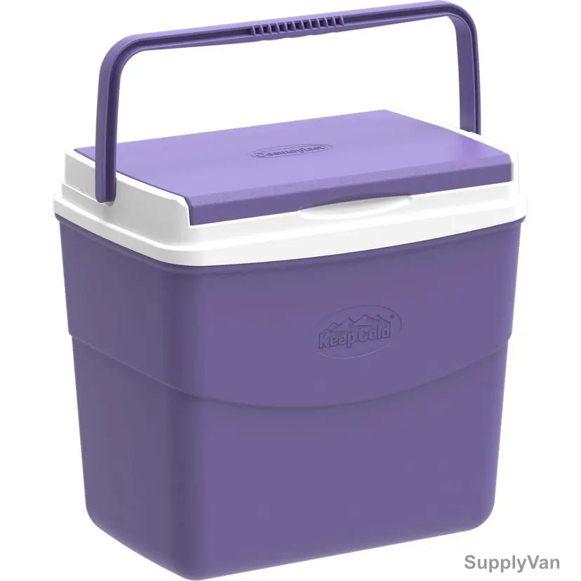 Cosmoplast Keep Cold Picnic Icebox, MFIBXX081, Plastic, 20 Ltrs Capacity, Purple